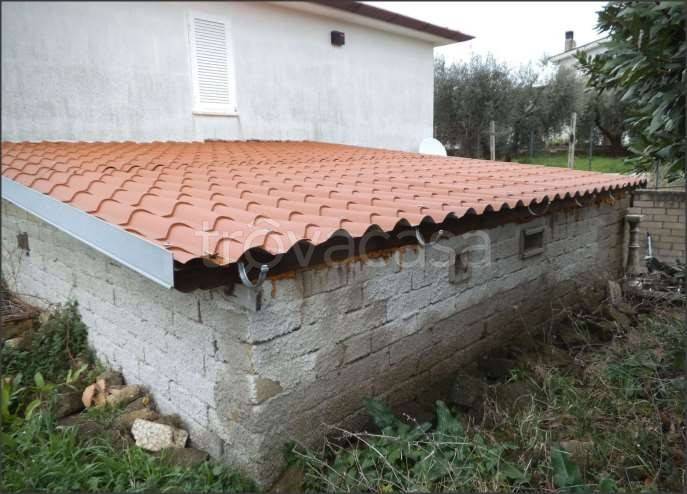 immagine annuncio 2 di 12