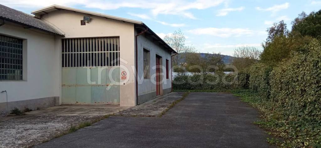 immagine annuncio 2 di 6