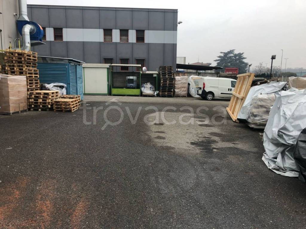 immagine annuncio 1 di 15