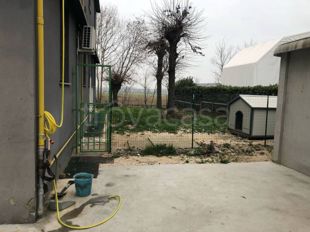 immagine annuncio 5 di 15