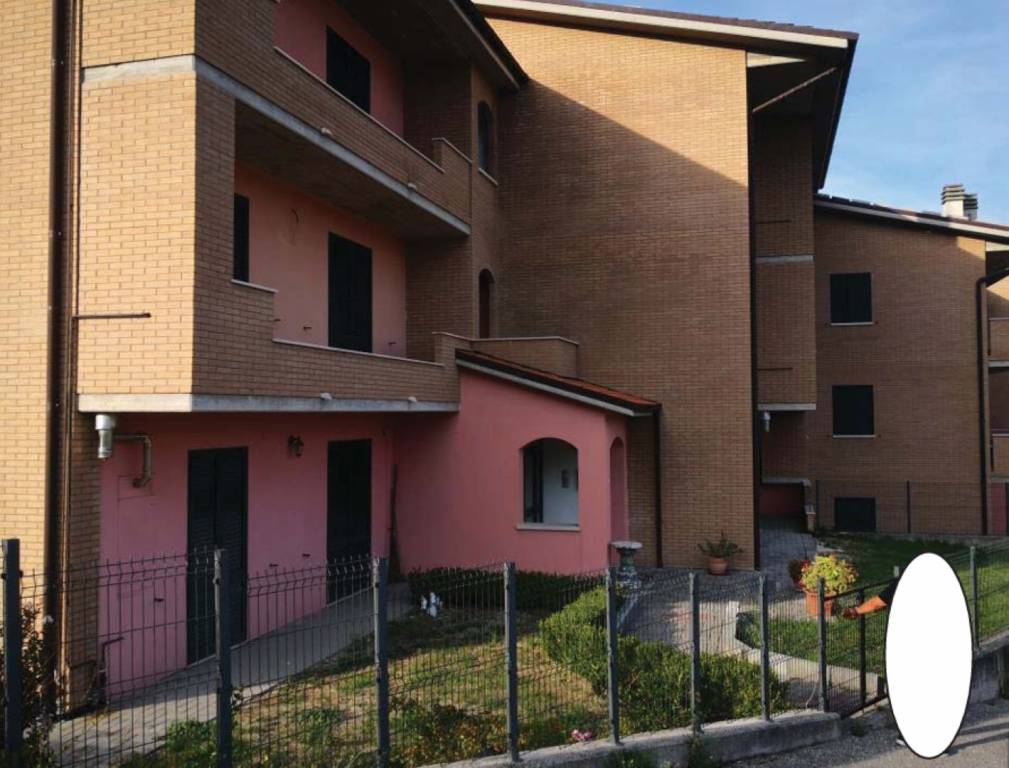 immagine annuncio 2 di 12