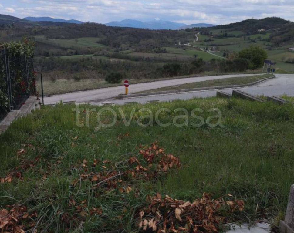 immagine annuncio 7 di 12