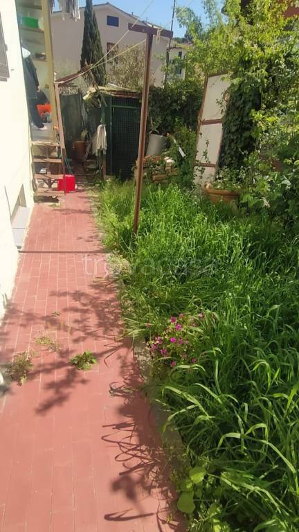 immagine annuncio 9 di 11