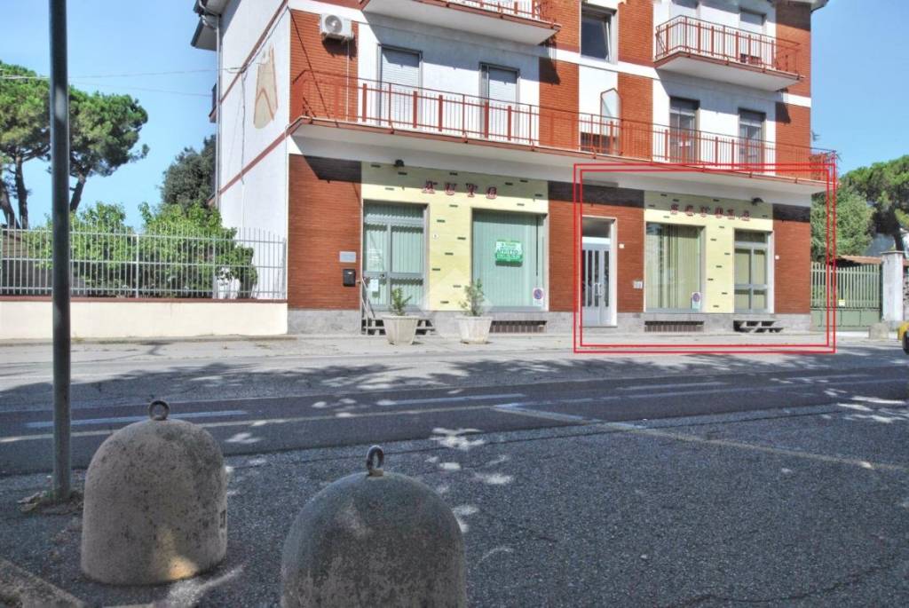 immagine annuncio 1 di 12