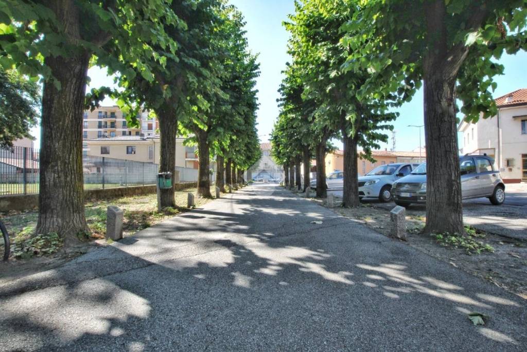 immagine annuncio 8 di 12