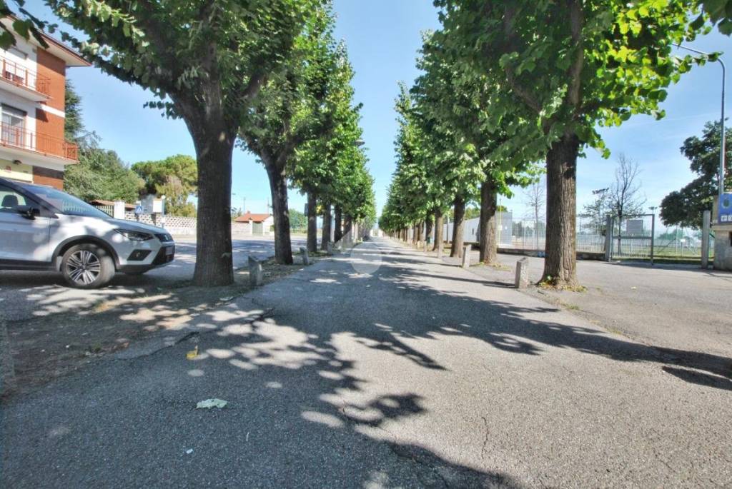 immagine annuncio 9 di 12