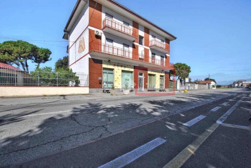 immagine annuncio 11 di 12