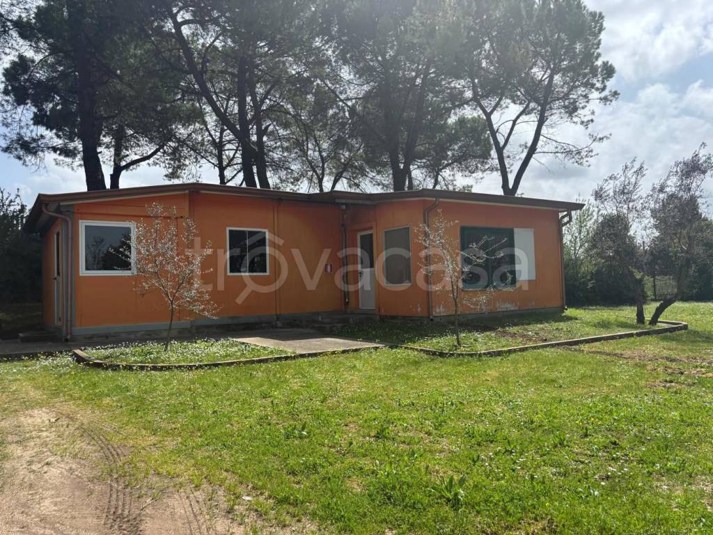 immagine annuncio 2 di 11