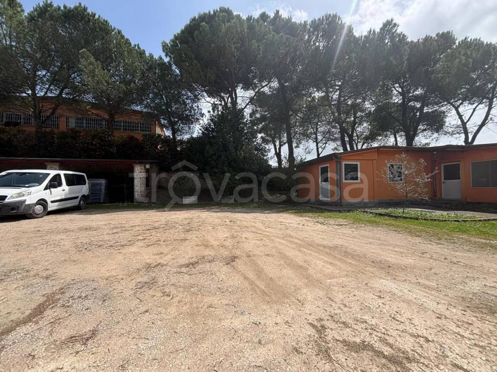 immagine annuncio 7 di 11