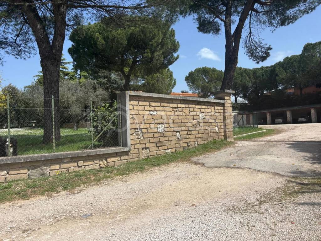 immagine annuncio 9 di 11