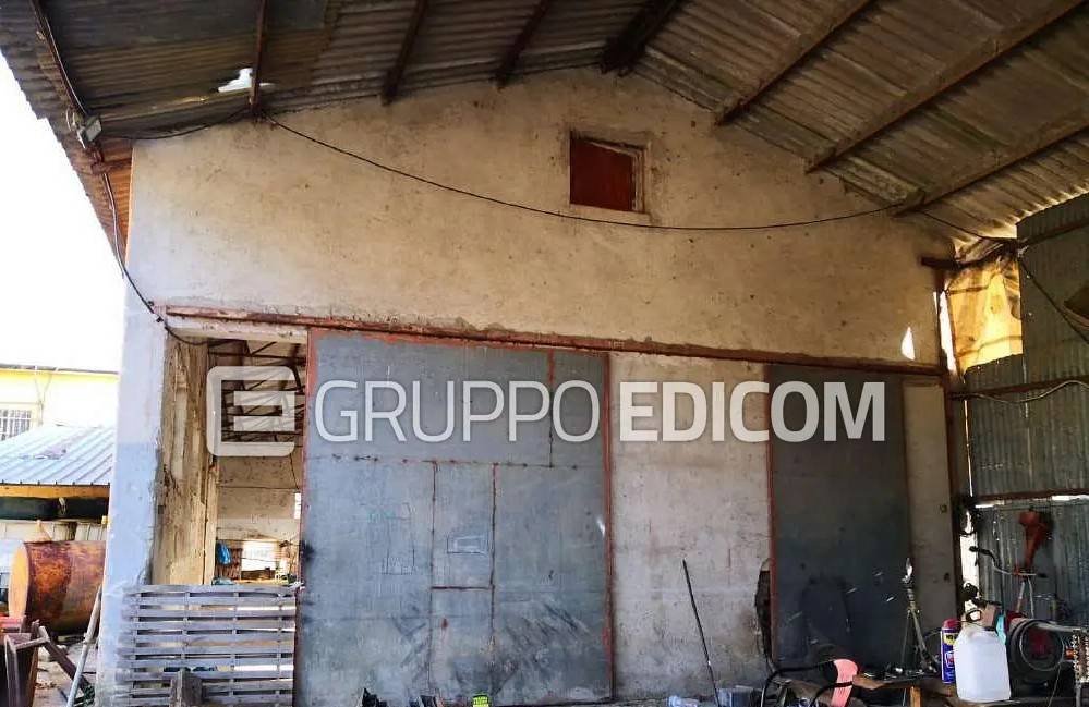 immagine annuncio 7 di 15
