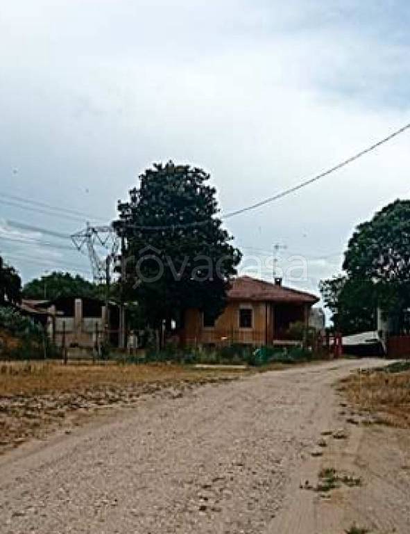 immagine annuncio 5 di 7