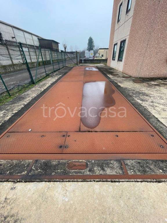 immagine annuncio 3 di 12