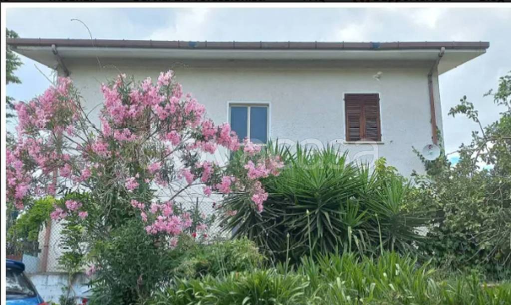 immagine annuncio 7 di 11