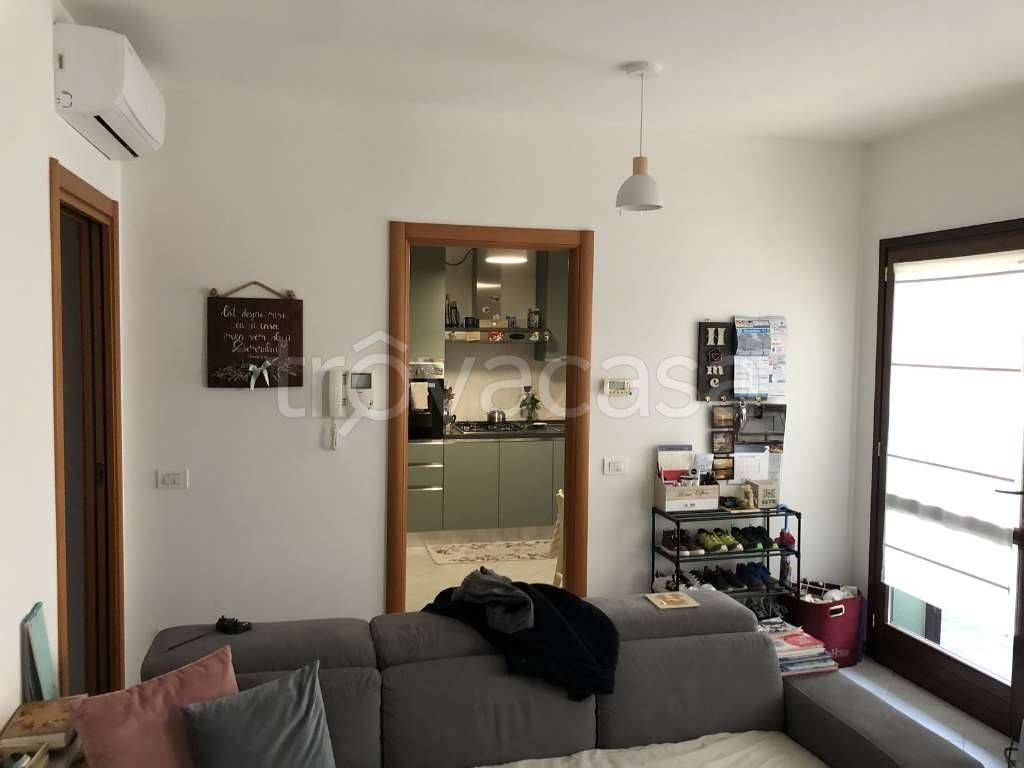 immagine annuncio 3 di 14