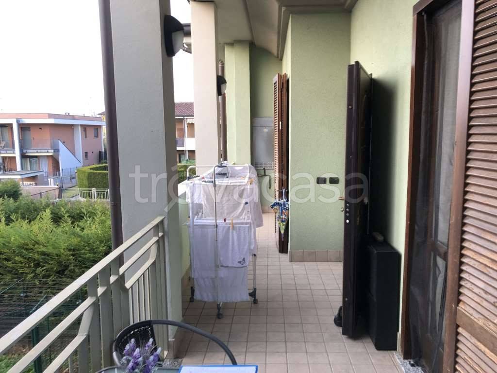 immagine annuncio 5 di 14