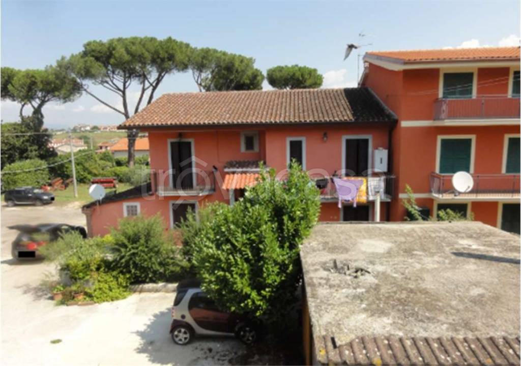 immagine annuncio 2 di 11
