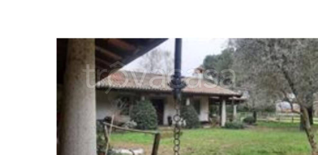 immagine annuncio 3 di 14