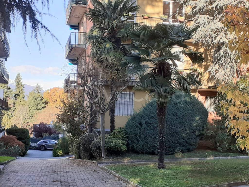immagine annuncio 9 di 12