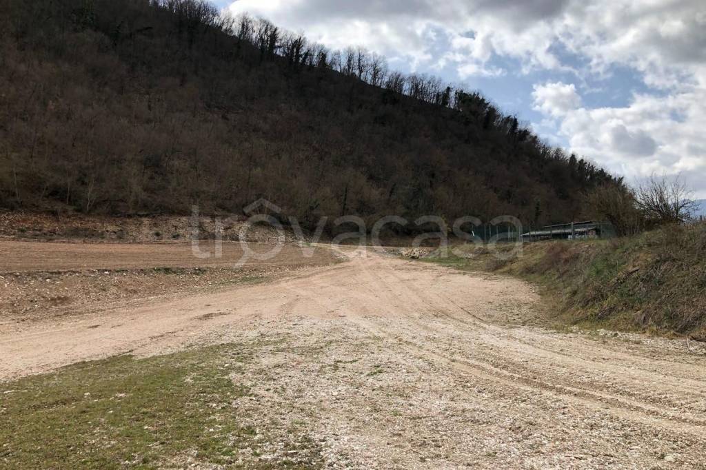 immagine annuncio 6 di 13