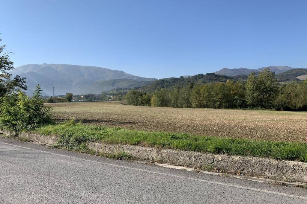 immagine annuncio 5 di 11