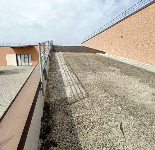 immagine annuncio 3 di 6