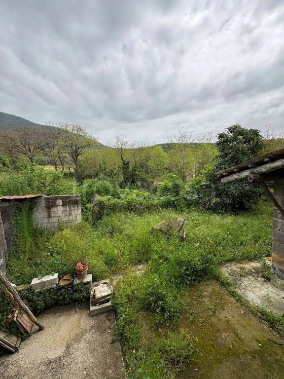 immagine annuncio 12 di 14
