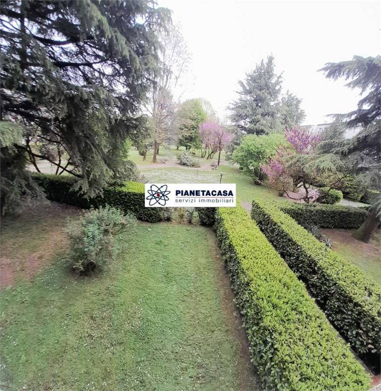 immagine annuncio 2 di 6