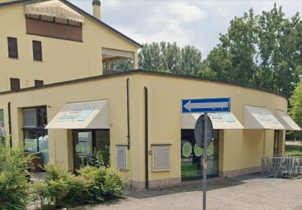 immagine annuncio 6 di 10