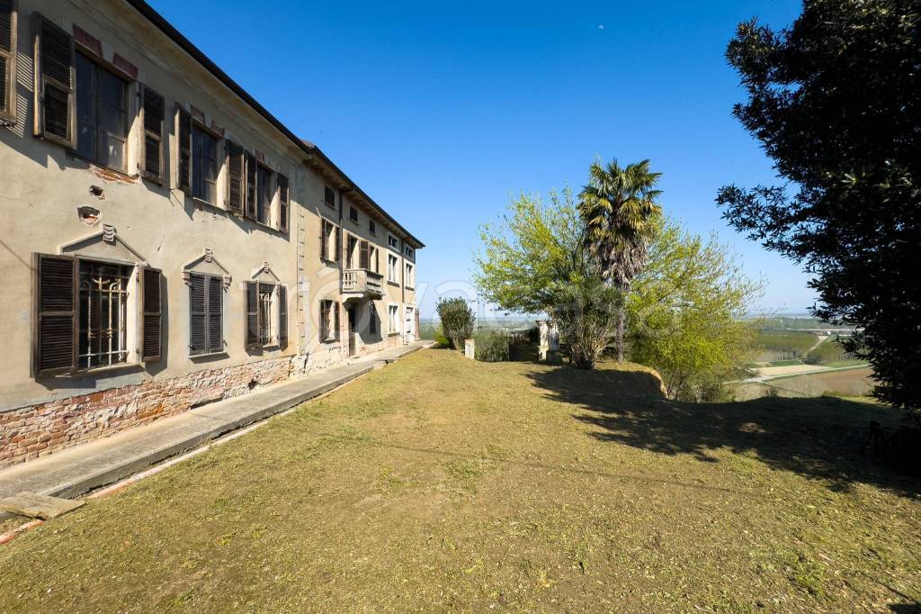 immagine annuncio 10 di 15