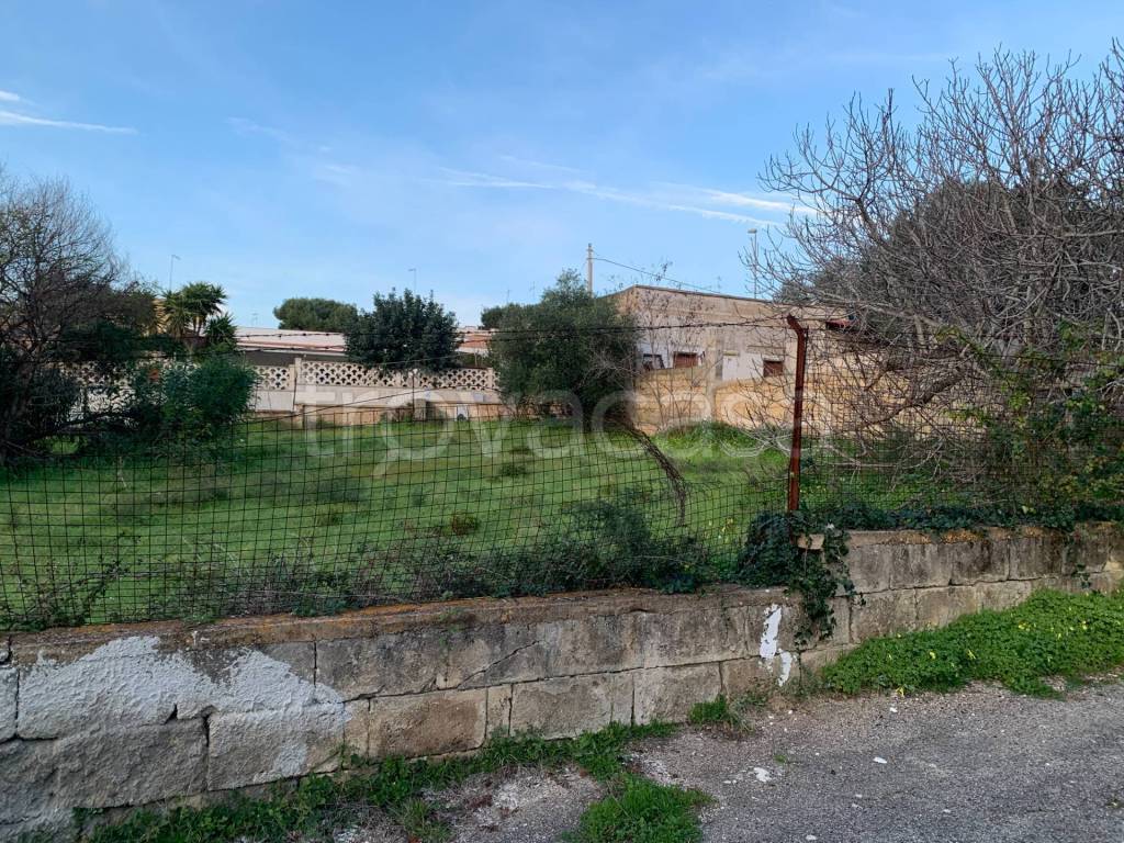 immagine annuncio 8 di 12