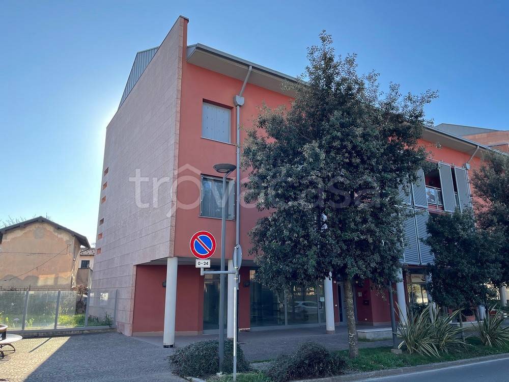 immagine annuncio 4 di 9