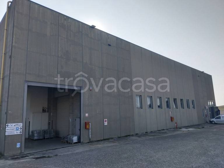 immagine annuncio 2 di 13