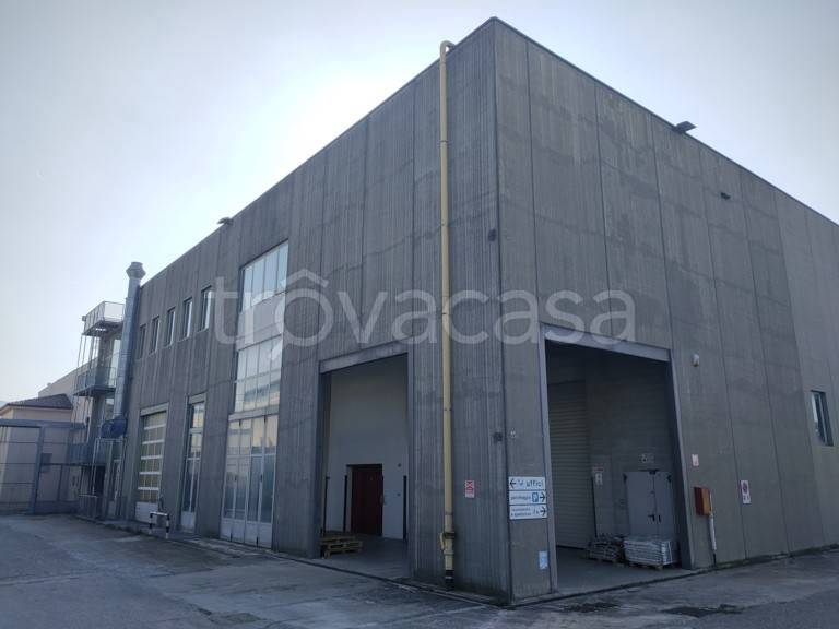immagine annuncio 3 di 13