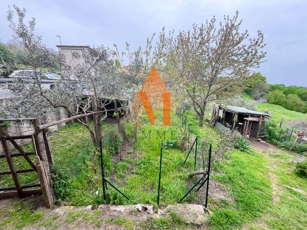 immagine annuncio 11 di 12