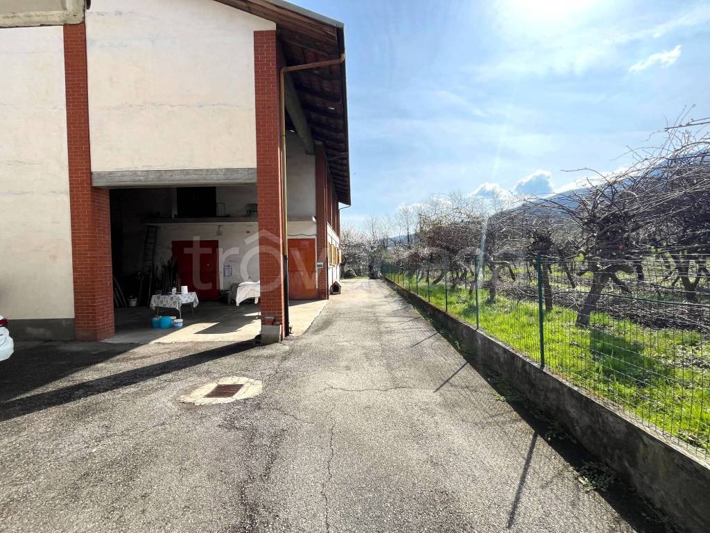 immagine annuncio 5 di 15