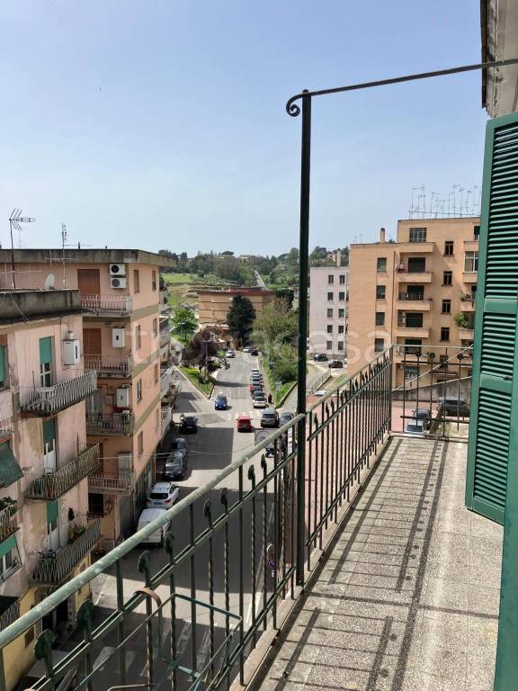 immagine annuncio 6 di 14