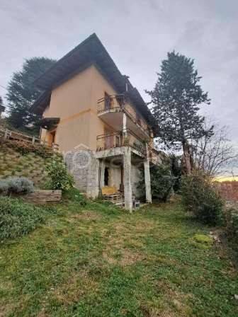 immagine annuncio 2 di 12