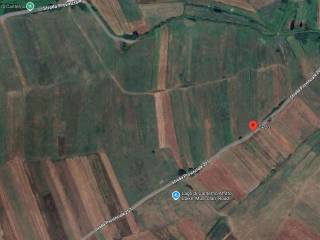 Terreno agricolo all'asta a trivigliano sp201