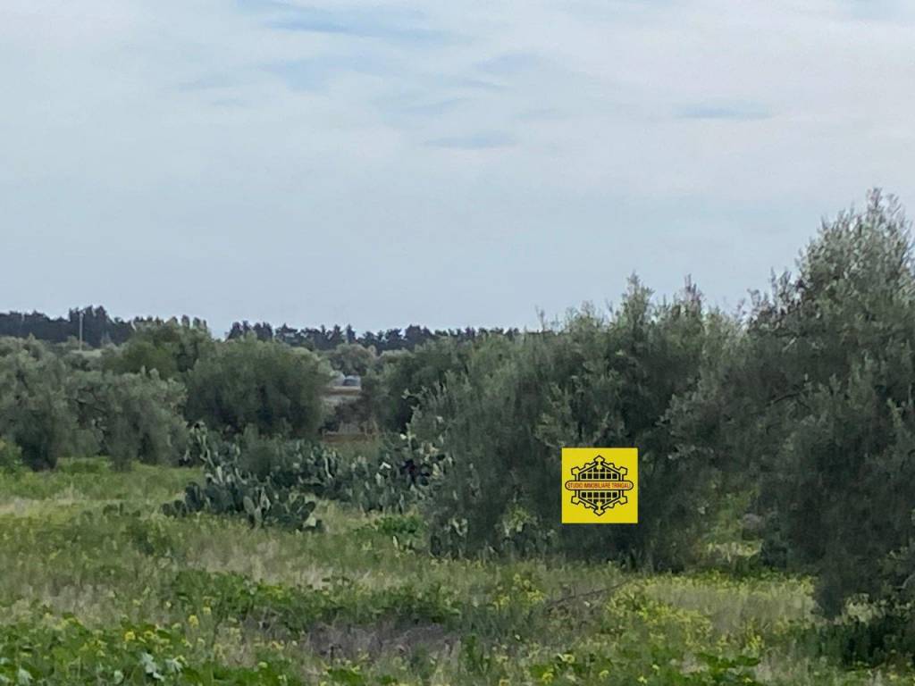 immagine annuncio 10 di 11