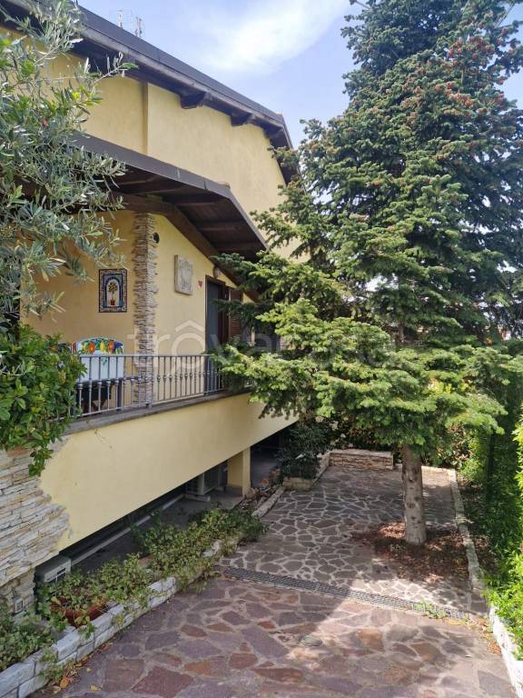 immagine annuncio 9 di 15