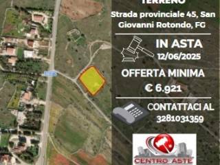 Terreno agricolo all'asta a san giovanni rotondo sp45bis, 71013 san giovanni rotondo fg, italia