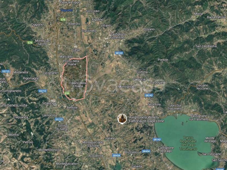 immagine annuncio 11 di 15