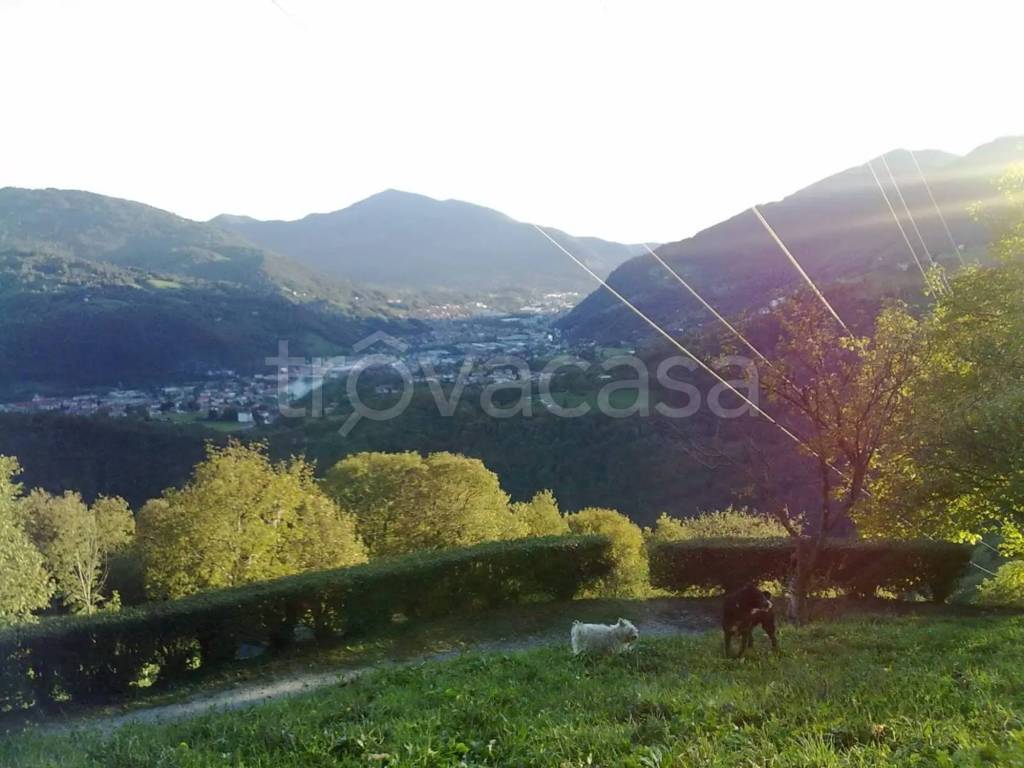 immagine annuncio 1 di 6