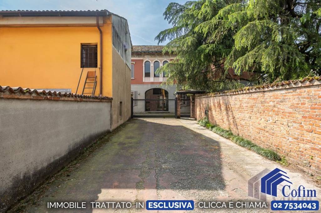 immagine annuncio 6 di 15