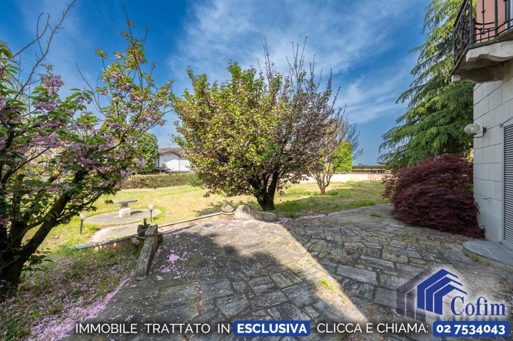 immagine annuncio 13 di 15