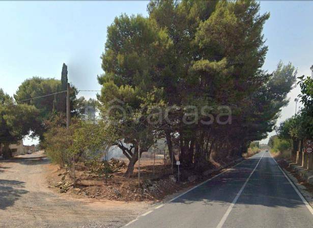 immagine annuncio 6 di 14