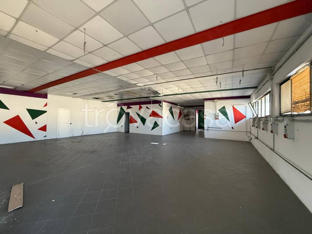 immagine annuncio 1 di 8