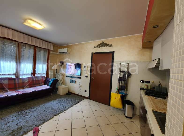 immagine annuncio 1 di 14