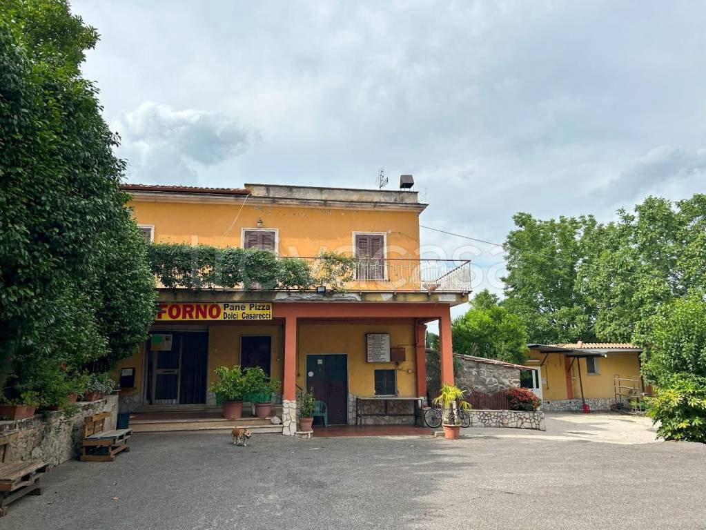 immagine annuncio 4 di 11